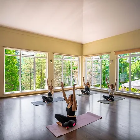 Θέρετρο Beskidy 3*